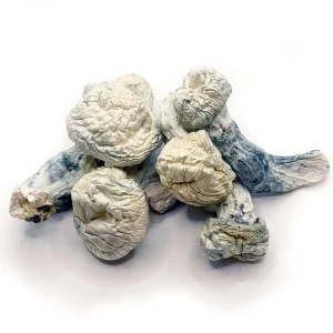 Buy Lucid Gates Mushrooms Online